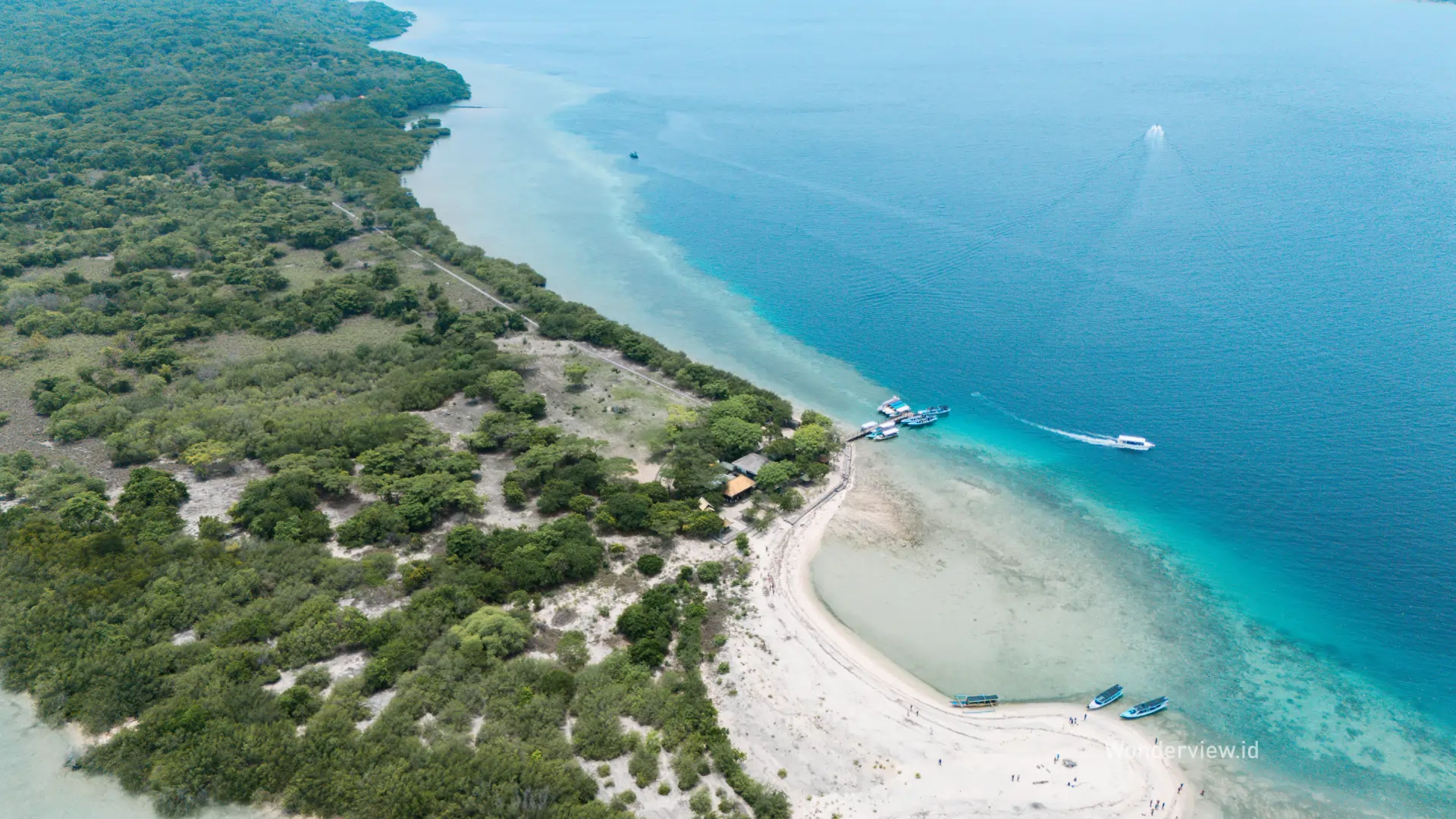 Pemandangan udara Pulau Menjangan dengan garis pantai berpasir putih dan laut bergradasi biru.