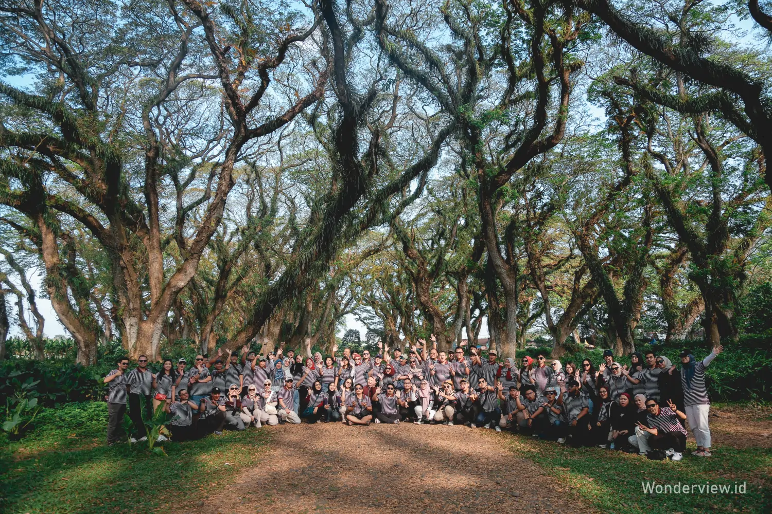 Foto rombongan besar berpose bersama di tengah Hutan Djawatan Banyuwangi yang dipenuhi pepohonan rimbun dan berlumut.