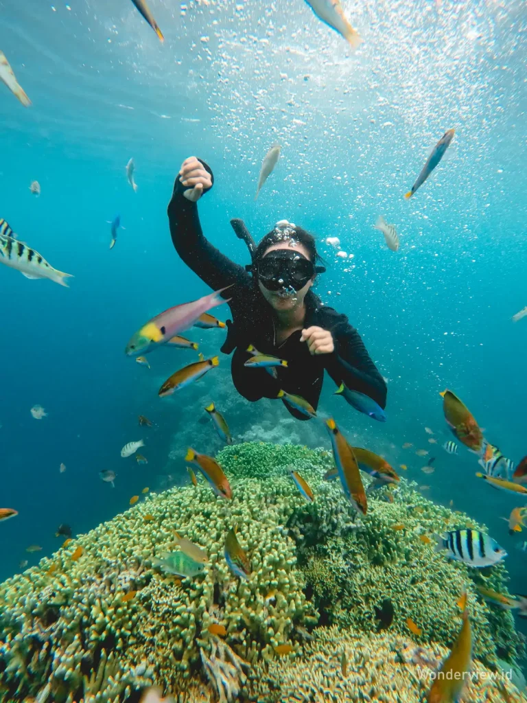 Wisatawan snorkeling di Pulau Menjangan dikelilingi ikan warna-warni dan terumbu karang yang subur.