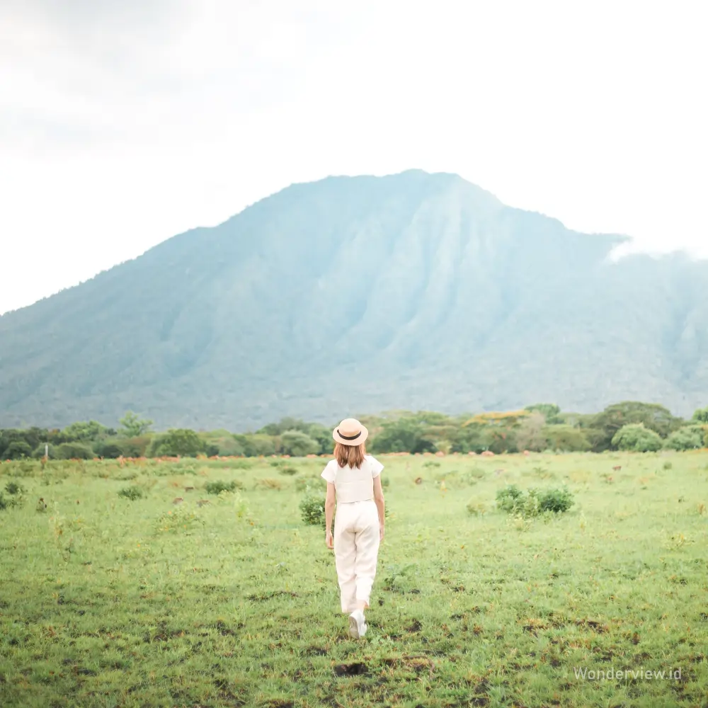 Wisatawan berjalan di Savana Bekol Baluran dengan latar Gunung Baluran yang tampak jelas di kejauhan.